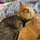 tammy_alexander4