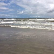 Jamie Creighton's photo