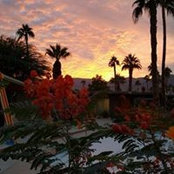Nancy Leppert's photo