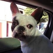 Patrick Chrisman's photo
