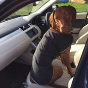 Alice Miller's photo