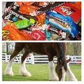 Candy Cothern's photo
