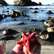 Tara Weilbacher's photo