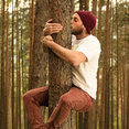 The Tree & Hedge Company's profile photo
