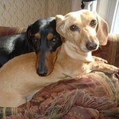 Caron Collins's photo