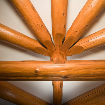 The Carousel House; Murray Arnottt Design. LogWork: Nicola LogWorks