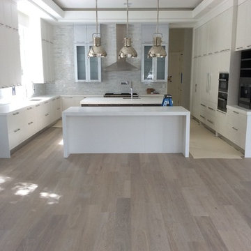 Piante Legno Grey