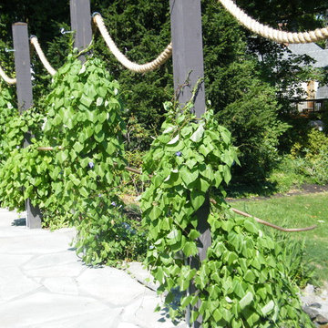 A race to the top!