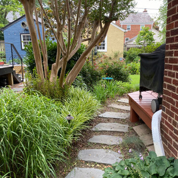 American University Park Rear Garden