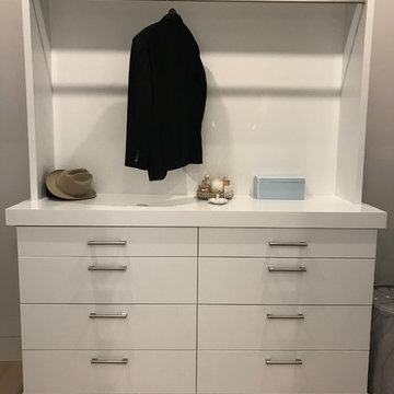 Texas Contemporary Closet