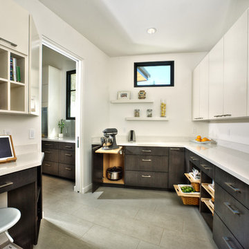 Pantry with Mixer Lift and Storage.