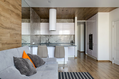 Inspiration for a contemporary living room remodel in Novosibirsk