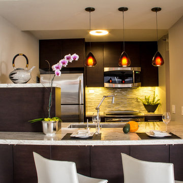 Modern Bachelor Condo