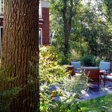 The Woodland Dwelling