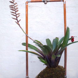 Living Sculptures - Products