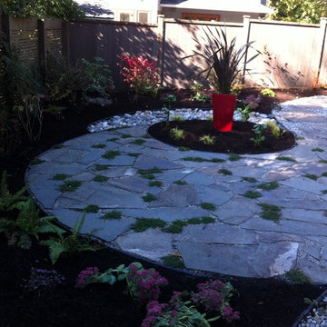 West Vancouver Backyard