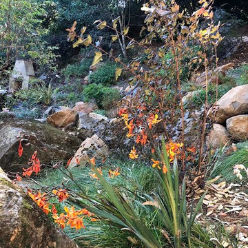 Waterfall Hillside Garden