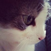 Amy Keller's photo