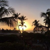 Sue Wefel's photo