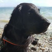 Anke Müller's photo