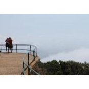 Alexis Rollert's photo
