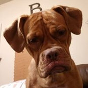 Brian Bovee's photo