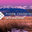 Floor Coverings International of Denver & Boulder