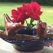 Michelle Turner Boyd's photo