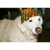 Bill Verner's photo