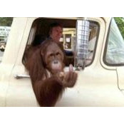 Aaron Brooks's photo