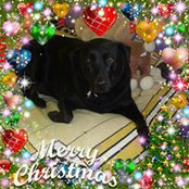 Robin Klink's photo
