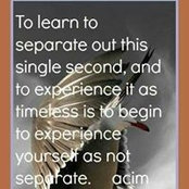 Lynne Neumann's photo