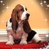 Foto de DeeDee Colding
