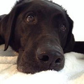 Susanne Siskens's photo