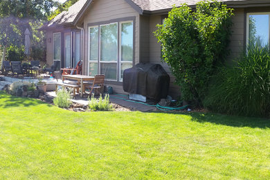 Backyard Before