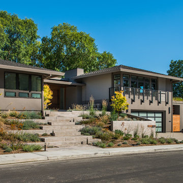 Park Hill