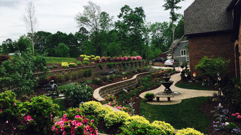 Beauty on a Steep Slope