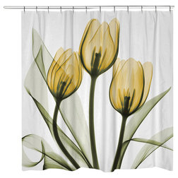 Contemporary Shower Curtains by Laural Home