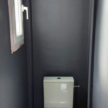rénovation toilette