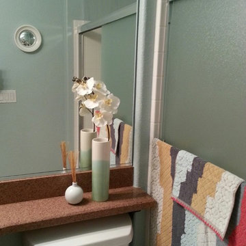 Daughter's guest bathroom
