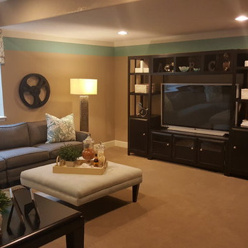Traditional New Basement Denver