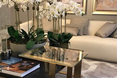 Living room - contemporary living room idea in Other