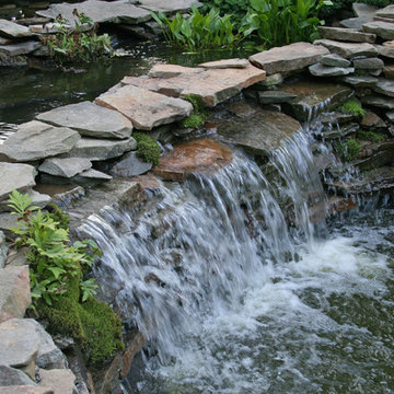 Mimi Pond | Filtration Upgrade | Waterfall Restoration