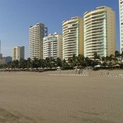 Gadi Dalys foto
