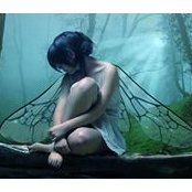 Deborah Schroder's photo