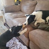 Shannon ONeill's photo