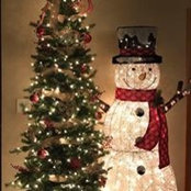 Dawn Radsek's photo