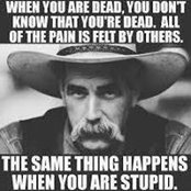 Steve Roberts's photo