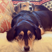 Christine Silver's photo