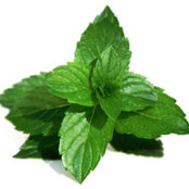 Foto de I Like Mint